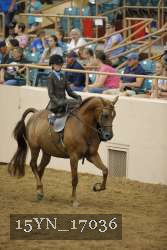 15YN_17036 proof