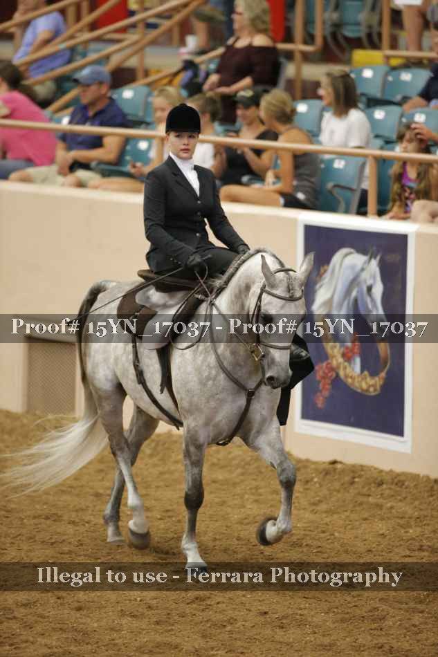 Proof 15YN_17037