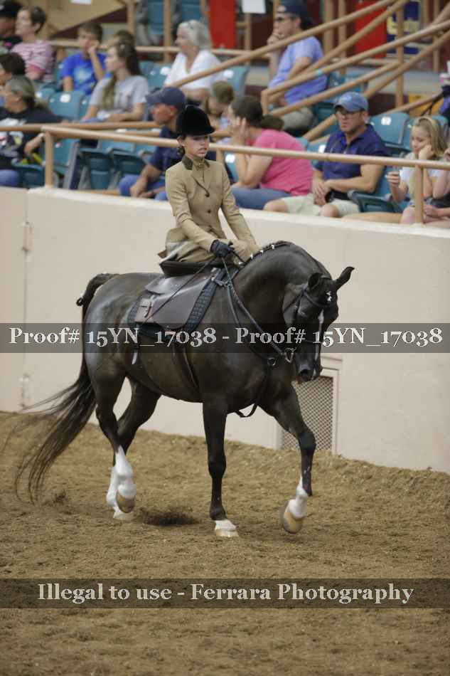Proof 15YN_17038