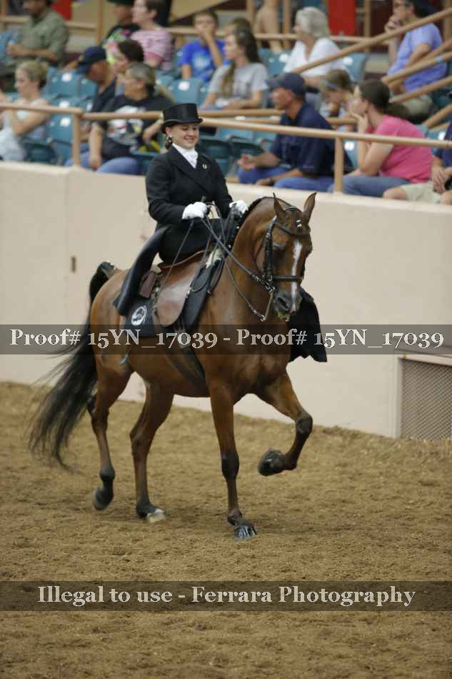 Proof 15YN_17039