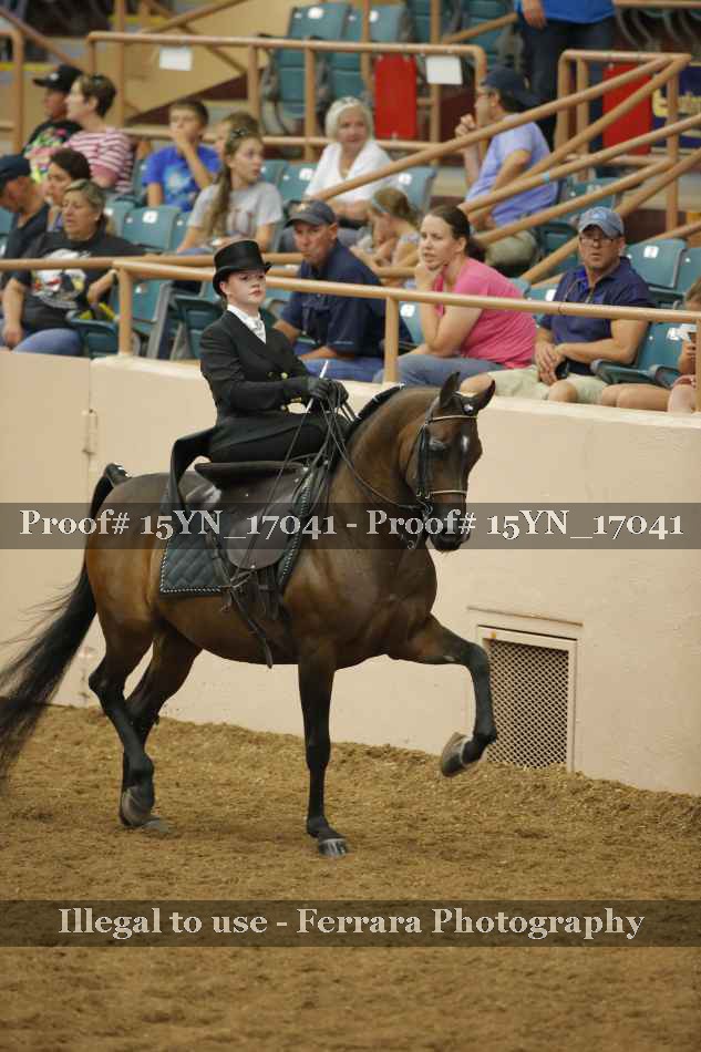 Proof 15YN_17041