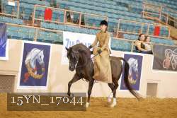 15YN_17044 proof