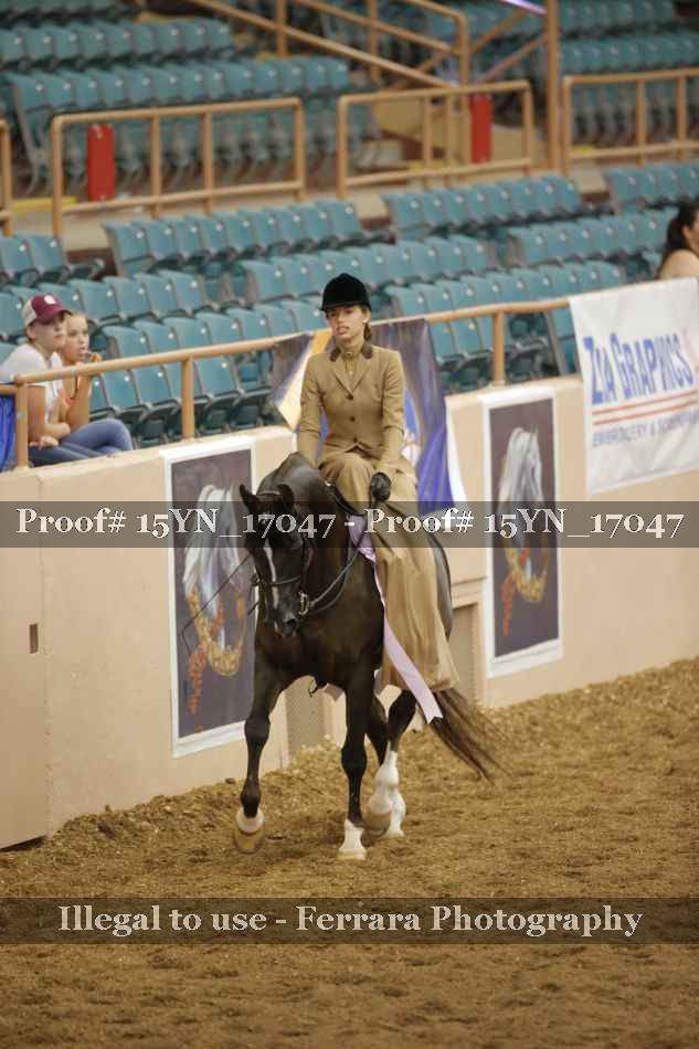 Proof 15YN_17047