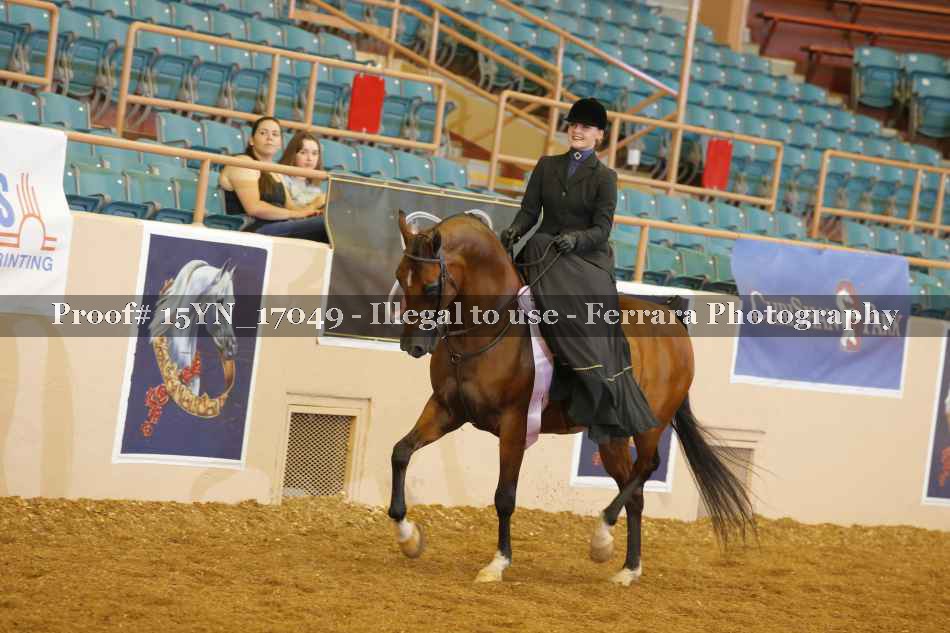 Proof 15YN_17049