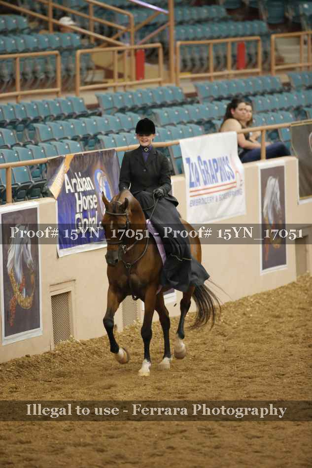 Proof 15YN_17051