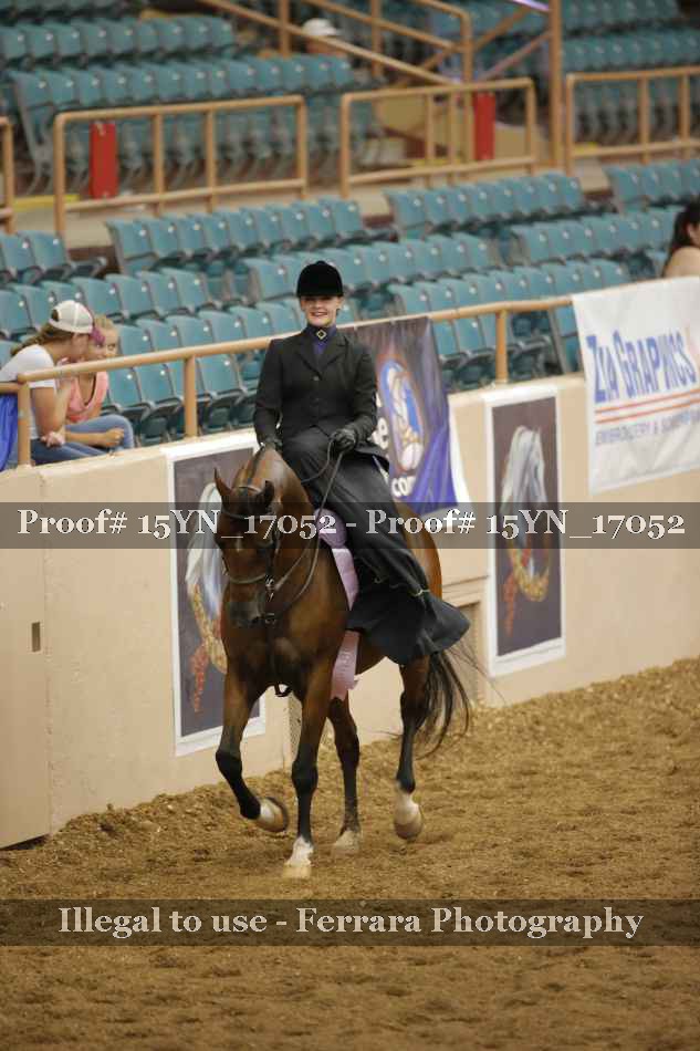 Proof 15YN_17052