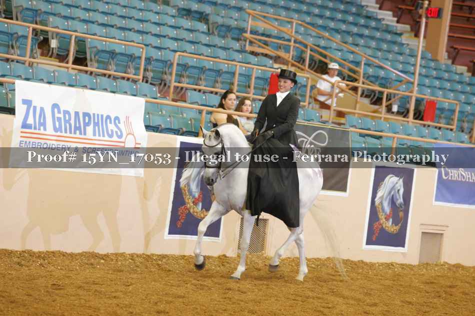 Proof 15YN_17053