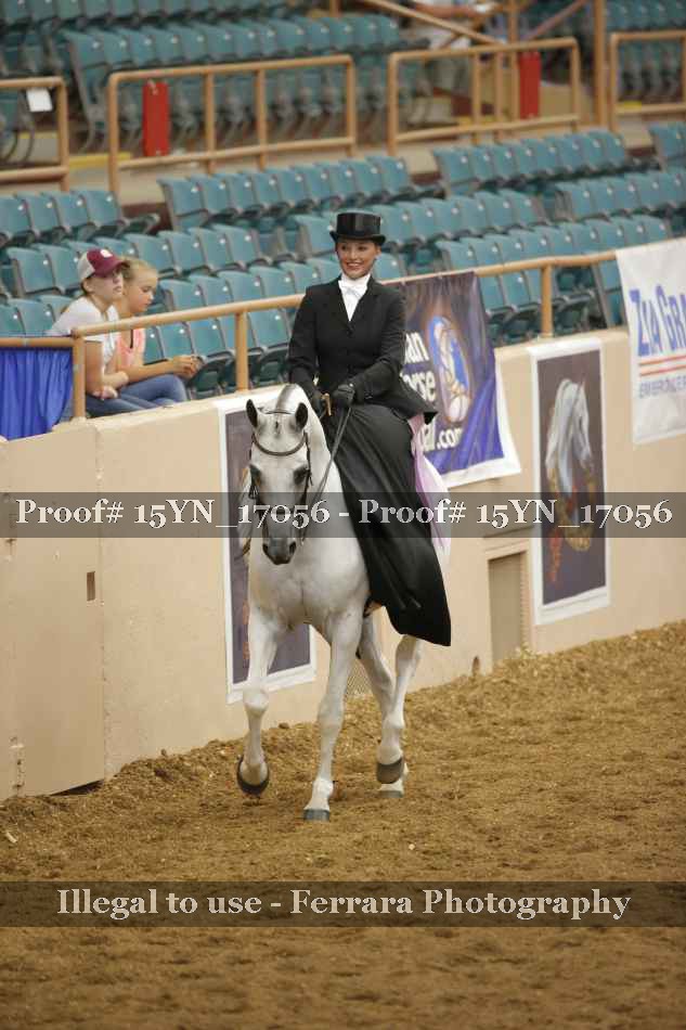 Proof 15YN_17056