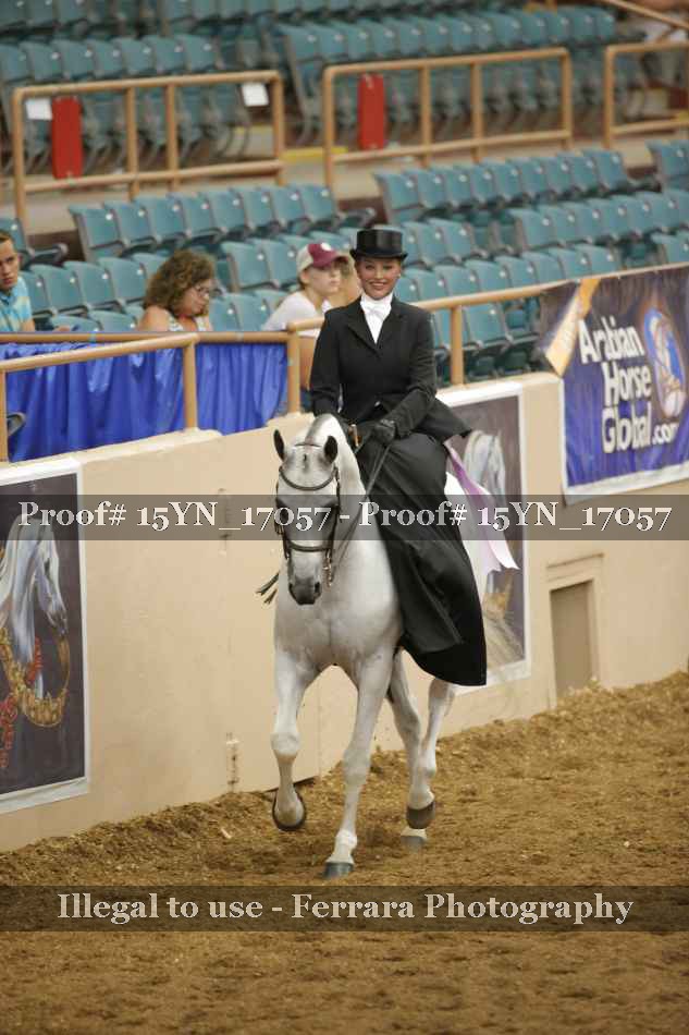 Proof 15YN_17057