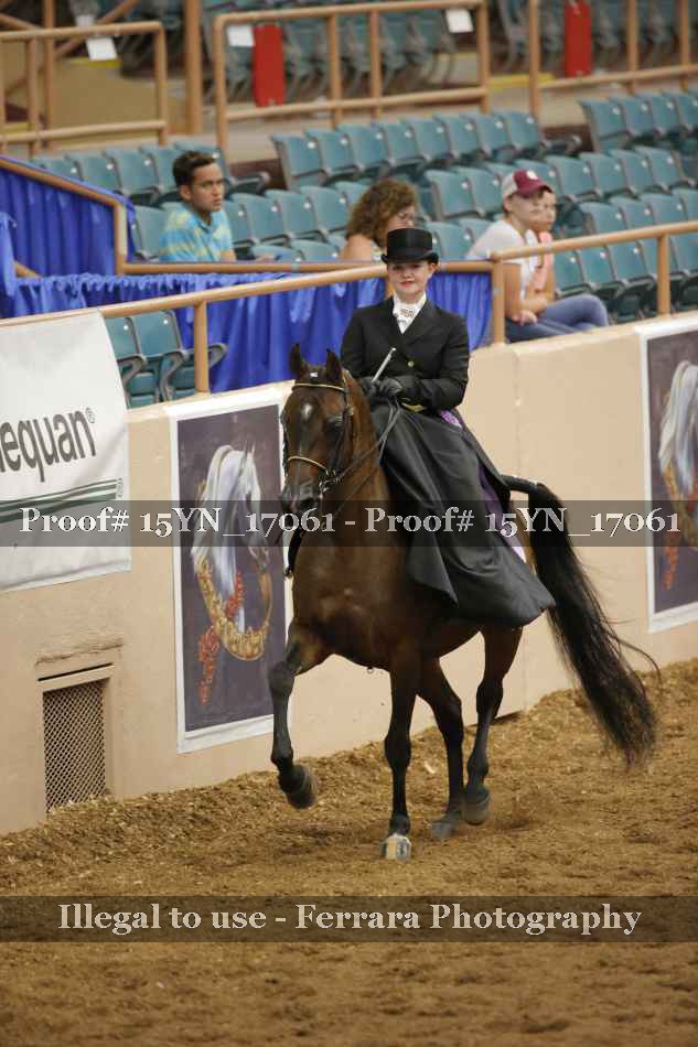 Proof 15YN_17061