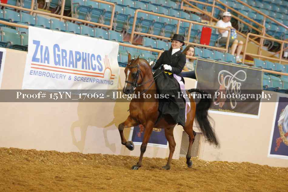 Proof 15YN_17062