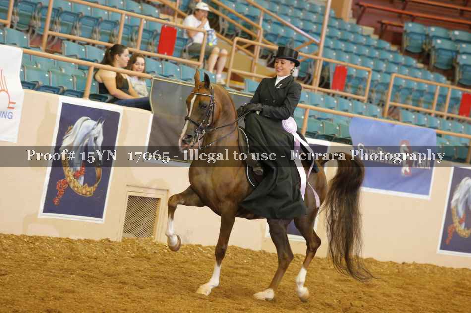 Proof 15YN_17065
