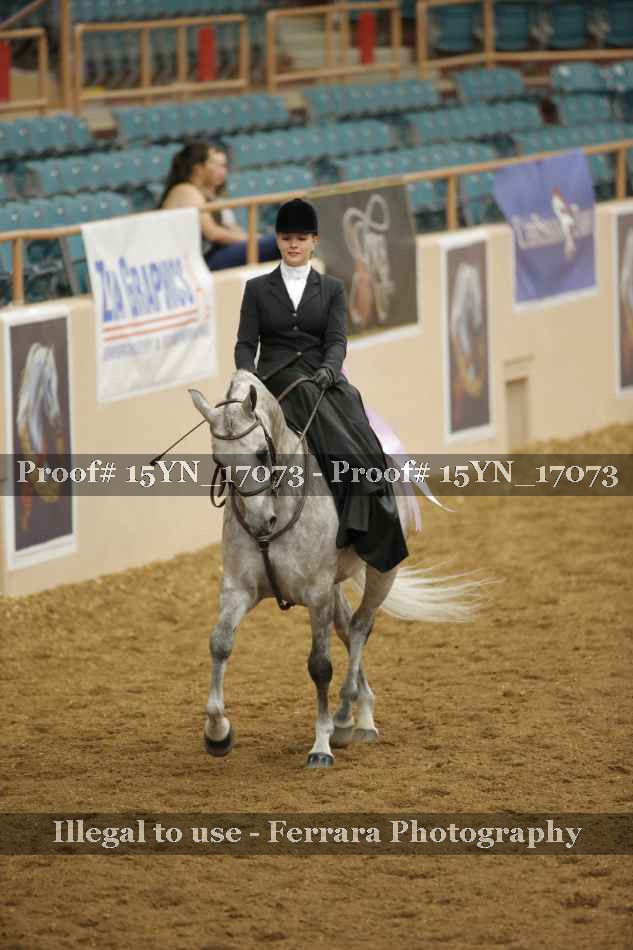 Proof 15YN_17073