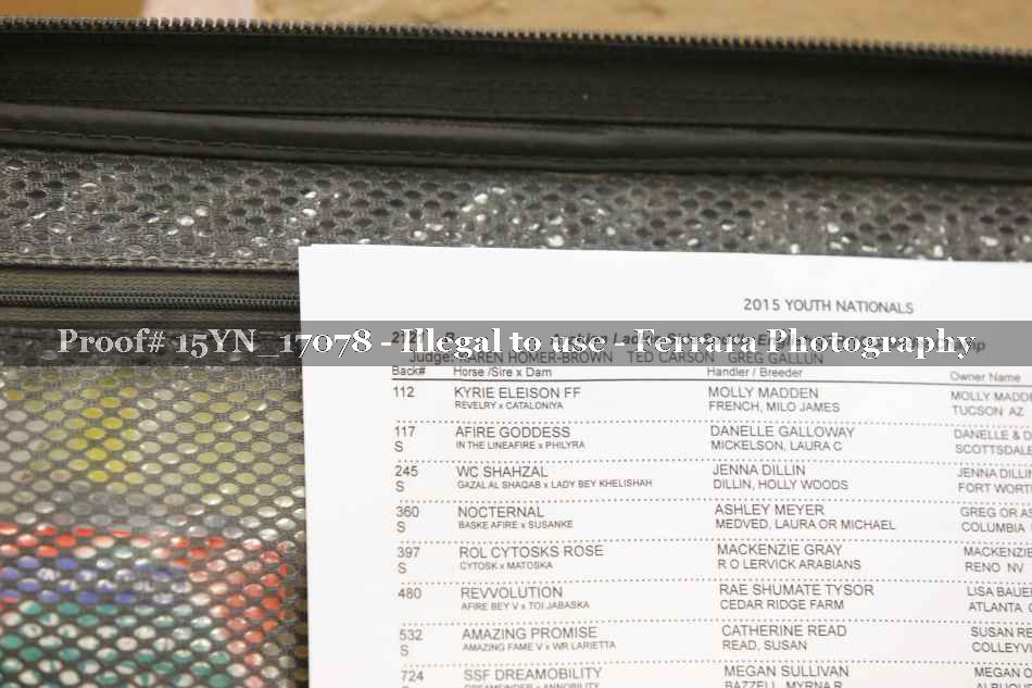 Proof 15YN_17078