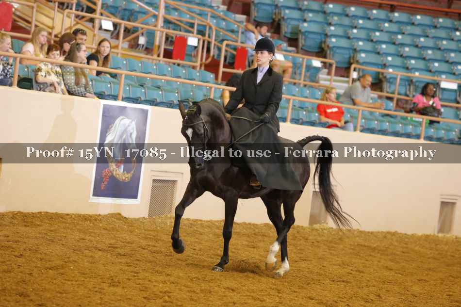 Proof 15YN_17085