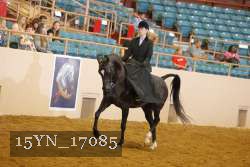 15YN_17085 proof