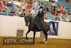 15YN_17086 proof