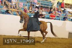 15YN_17092 proof