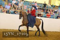 15YN_17101 proof