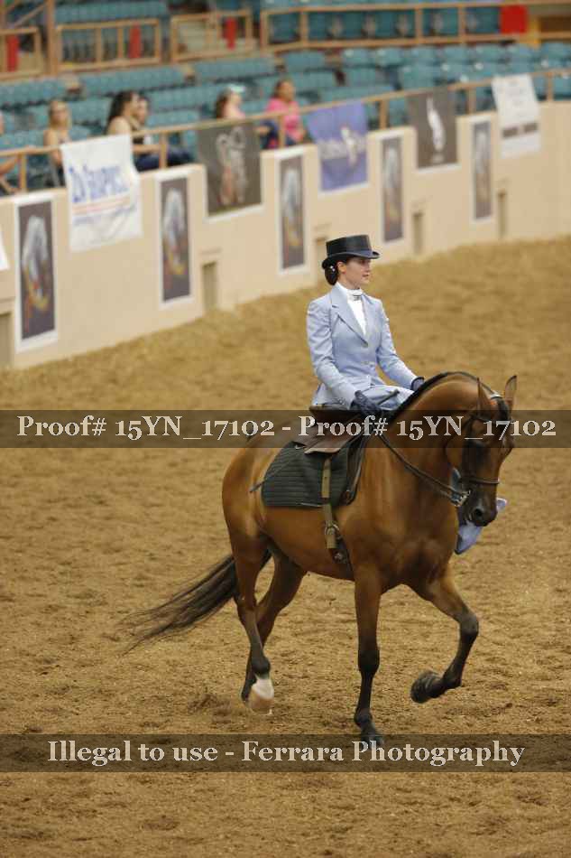 Proof 15YN_17102