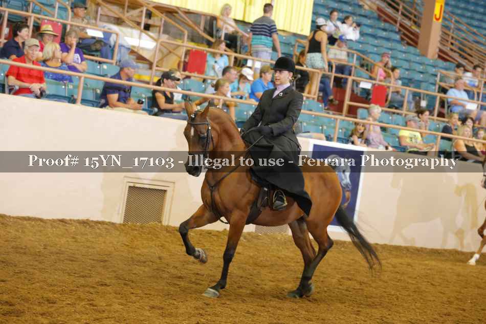 Proof 15YN_17103