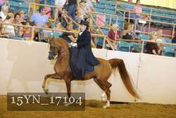 15YN_17104 proof
