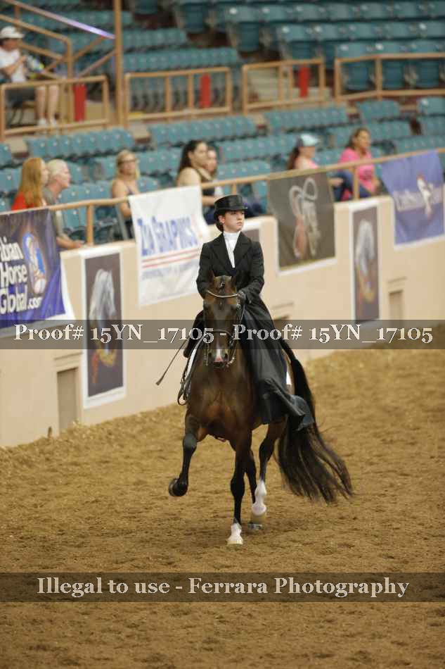 Proof 15YN_17105