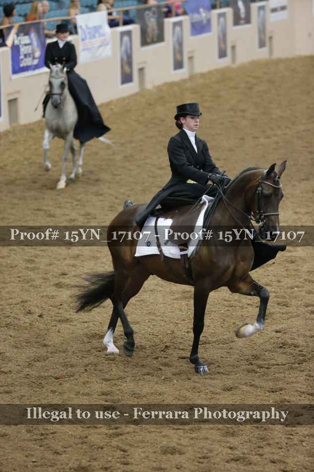 Proof 15YN_17107
