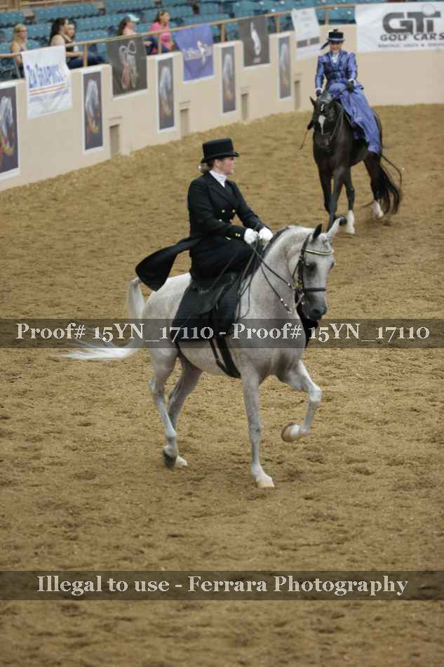 Proof 15YN_17110