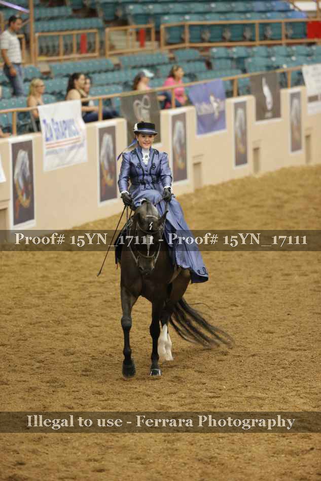 Proof 15YN_17111