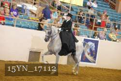 15YN_17112 proof