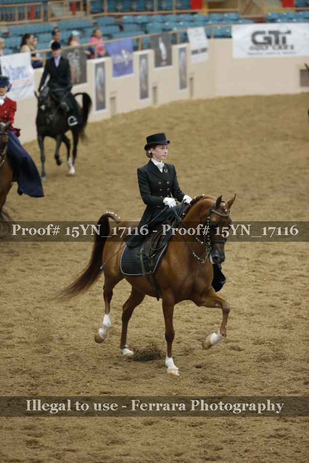Proof 15YN_17116