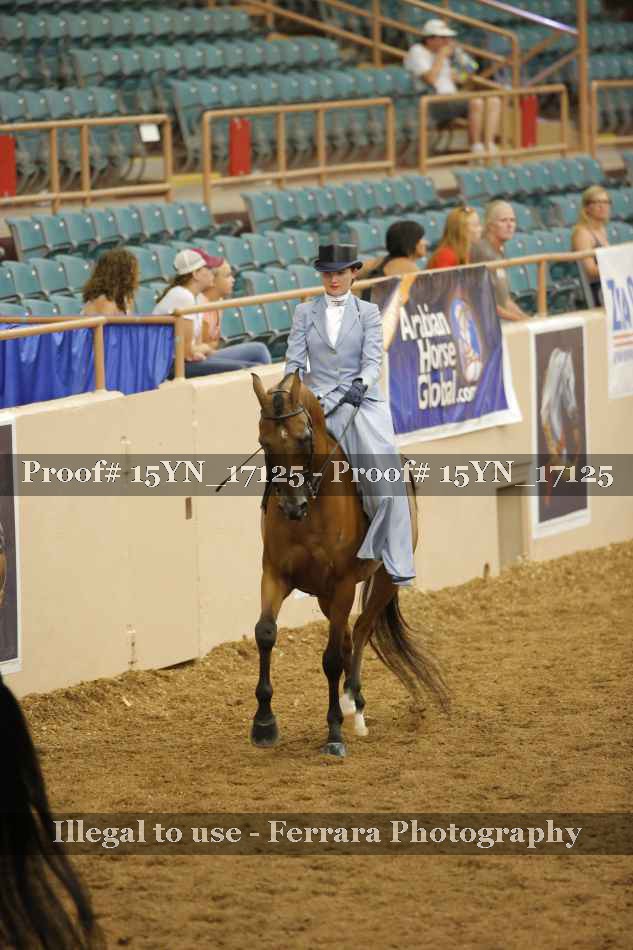 Proof 15YN_17125