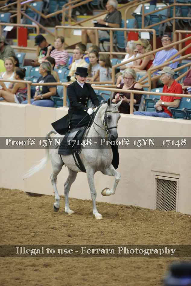 Proof 15YN_17148