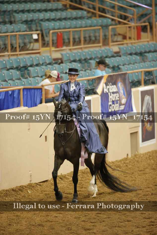 Proof 15YN_17154