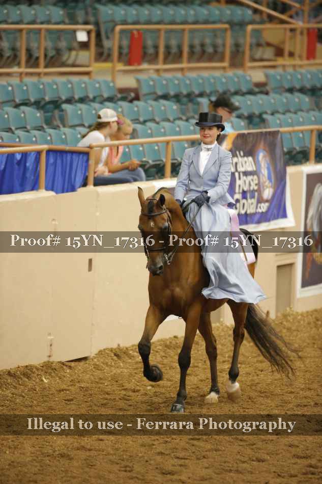 Proof 15YN_17316