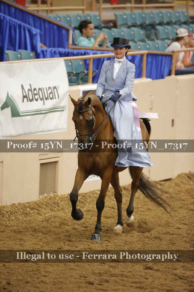 Proof 15YN_17317