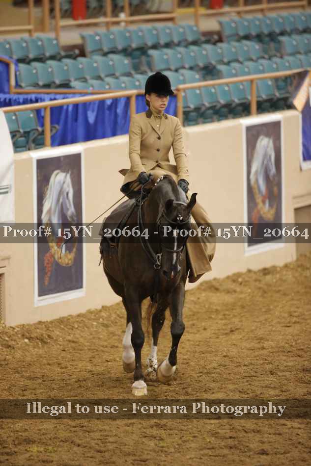Proof 15YN_20664
