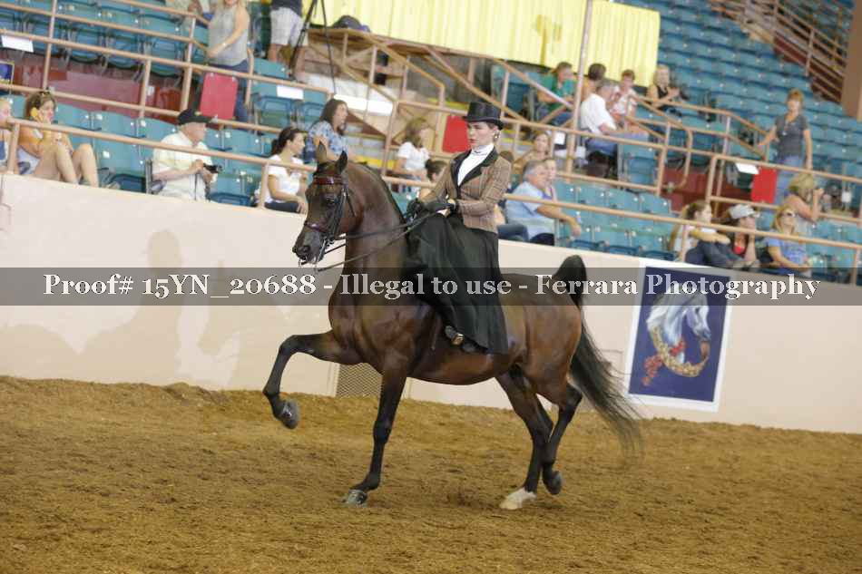 Proof 15YN_20688