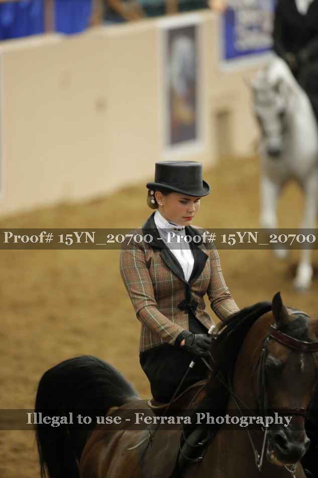 Proof 15YN_20700