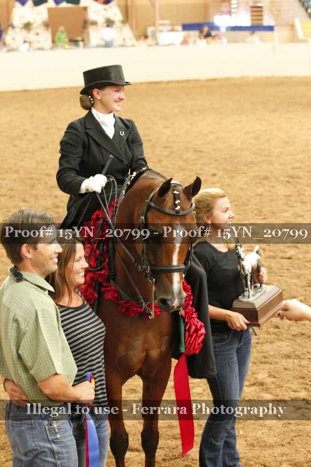 Proof 15YN_20799