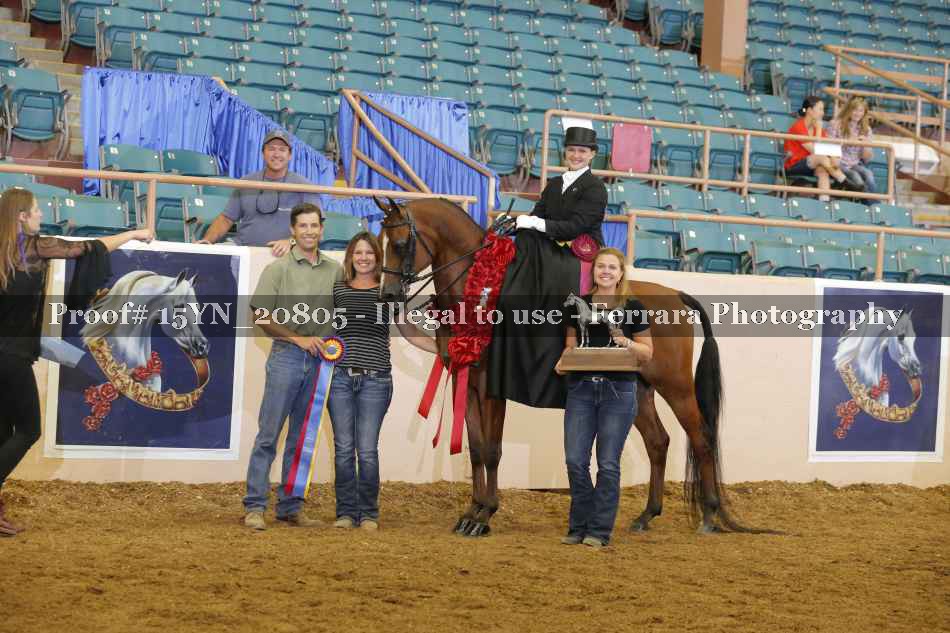 Proof 15YN_20805