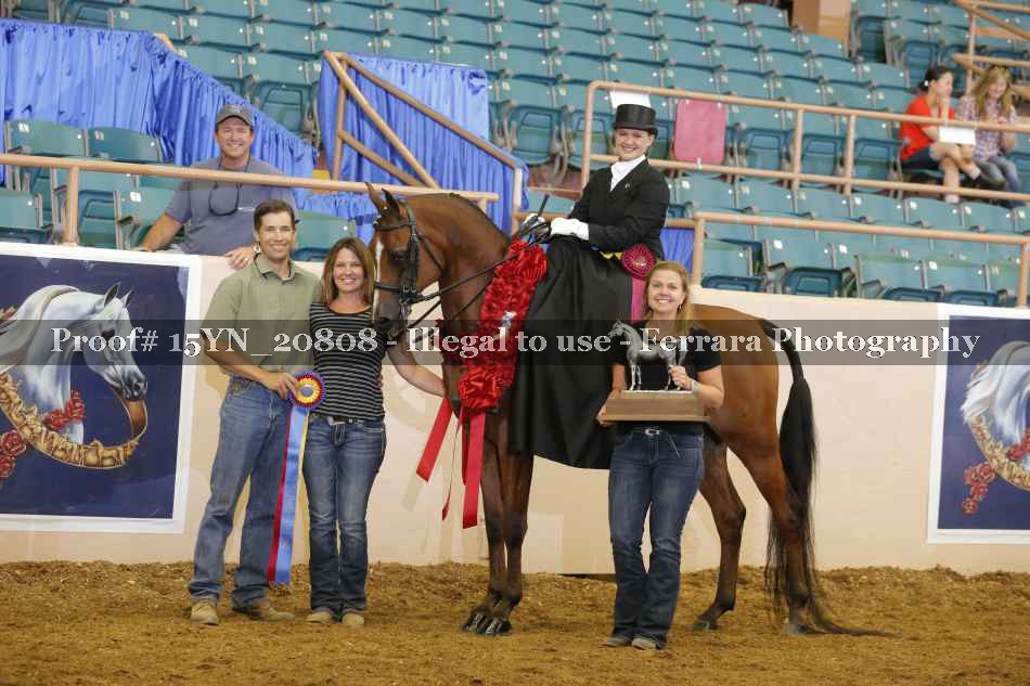 Proof 15YN_20808