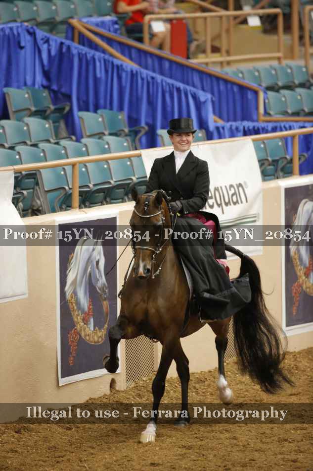 Proof 15YN_20854