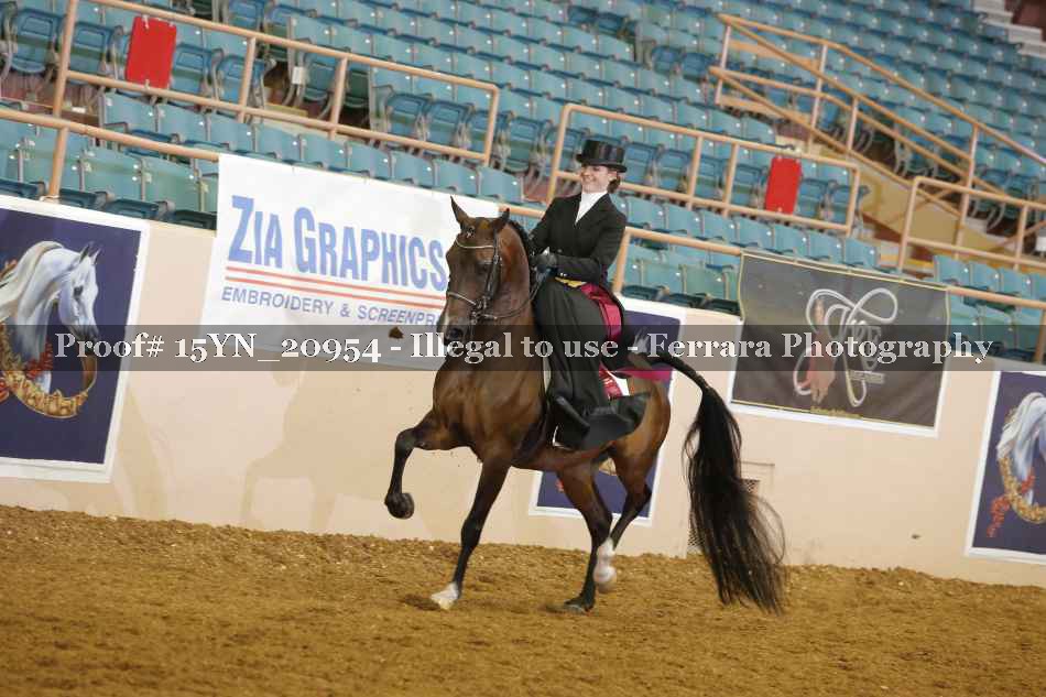 Proof 15YN_20954
