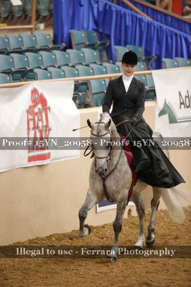 Proof 15YN_20958