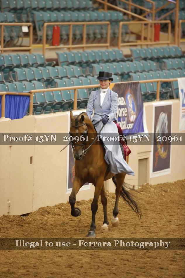 Proof 15YN_20961