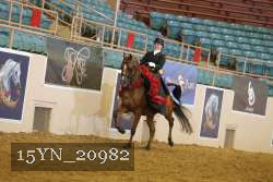 15YN_20982 proof