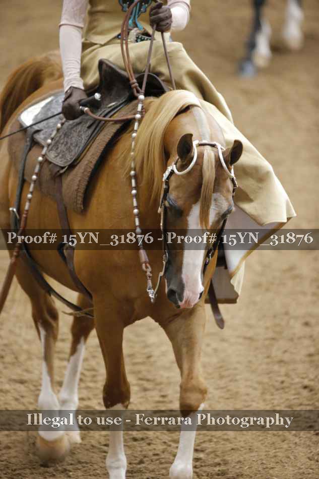 Proof 15YN_31876