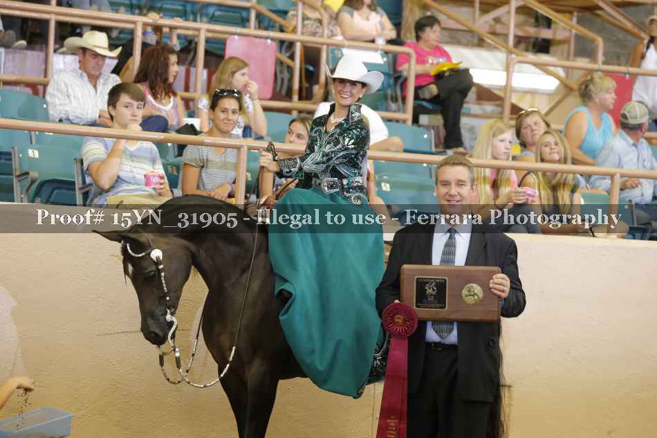 Proof 15YN_31905